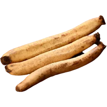 Natural Lotus Root